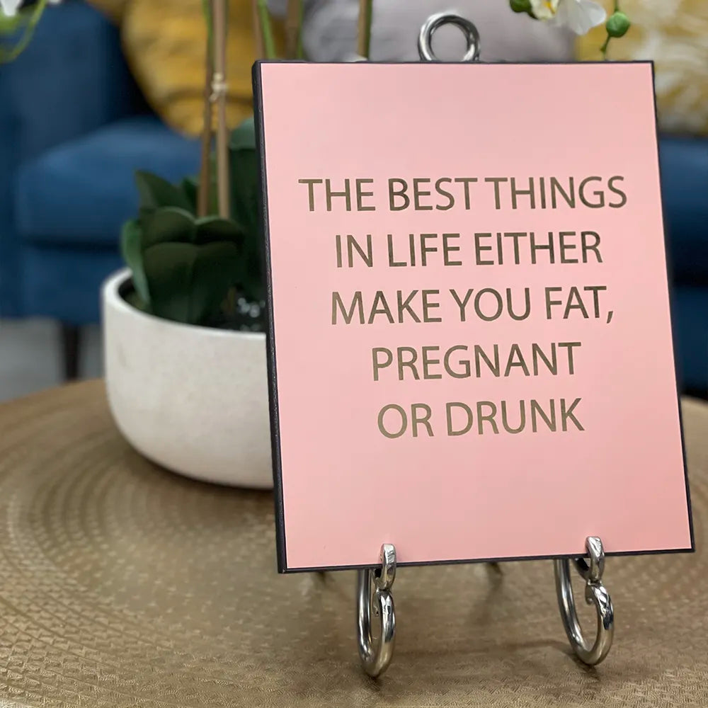 ‘The Best Things in Life Either Make You Fat Pregnant Or Drunk’ wall plaque. - GLAL UK