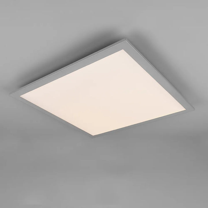 Alpha Ceiling Light