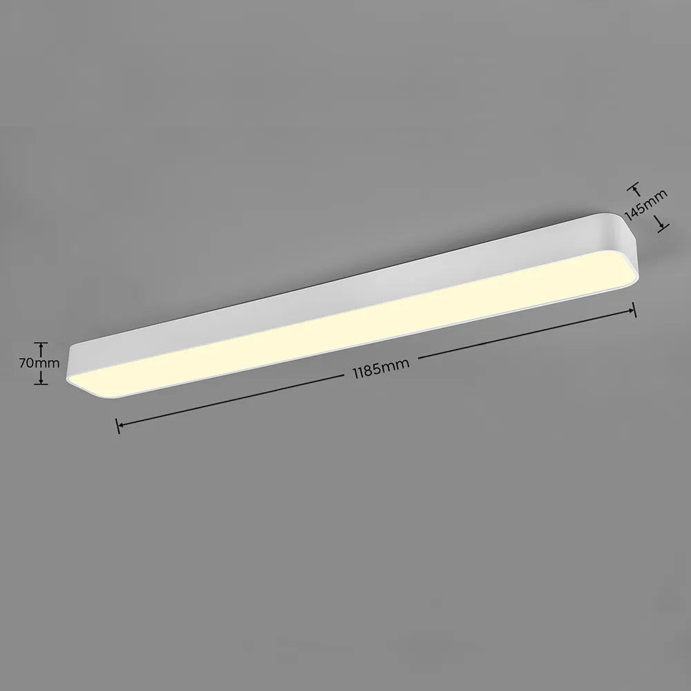 Asterion Ceiling Light