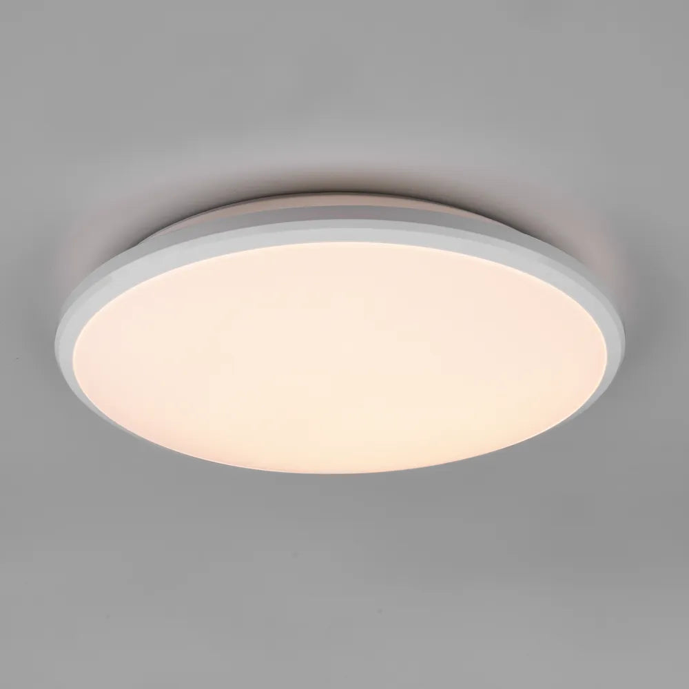 Limbus Ceiling Light - GLAL UK
